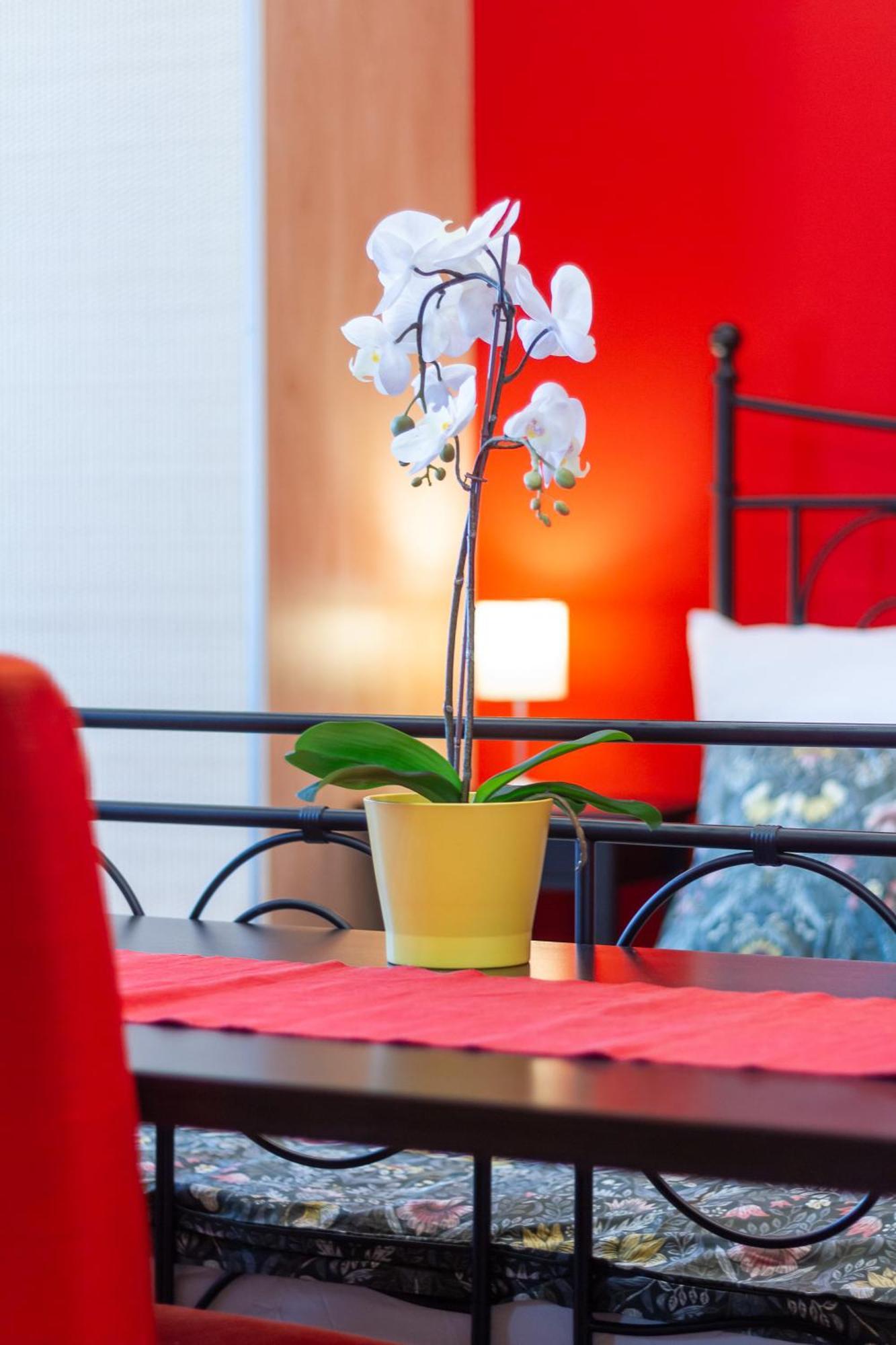 Badepest Apartment Budapest Eksteriør bilde